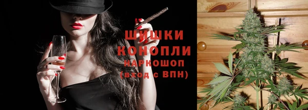 винт Гусев