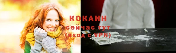 винт Гусев