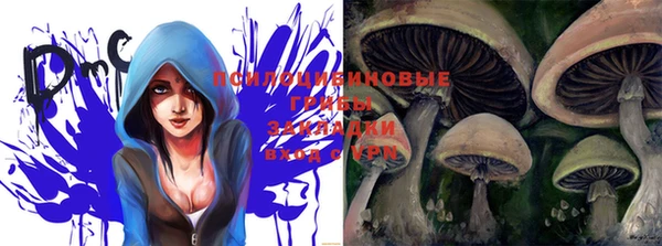 винт Гусев