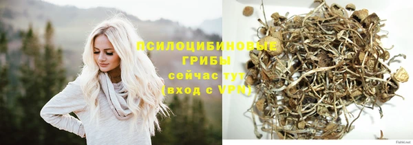 прущие крисы Гусь-Хрустальный