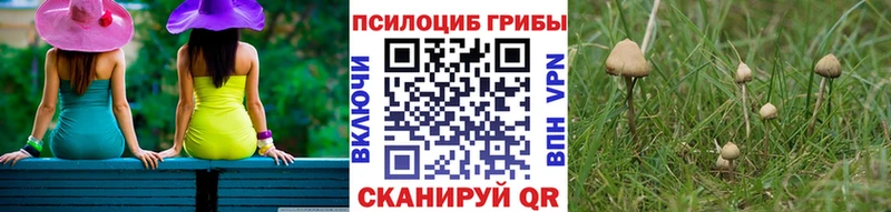 blacksprut   Пермь  Галлюциногенные грибы Psilocybine cubensis 